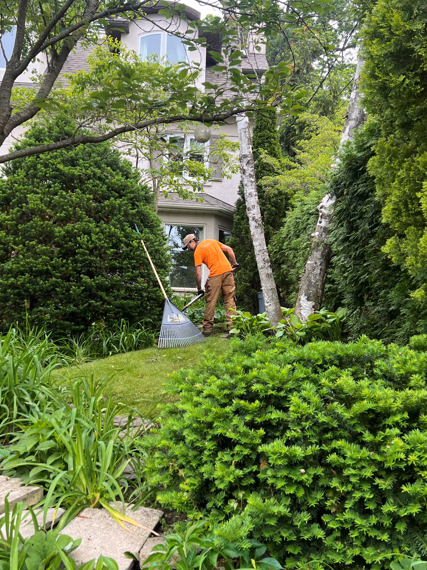 Year-round residential garden care and planting
