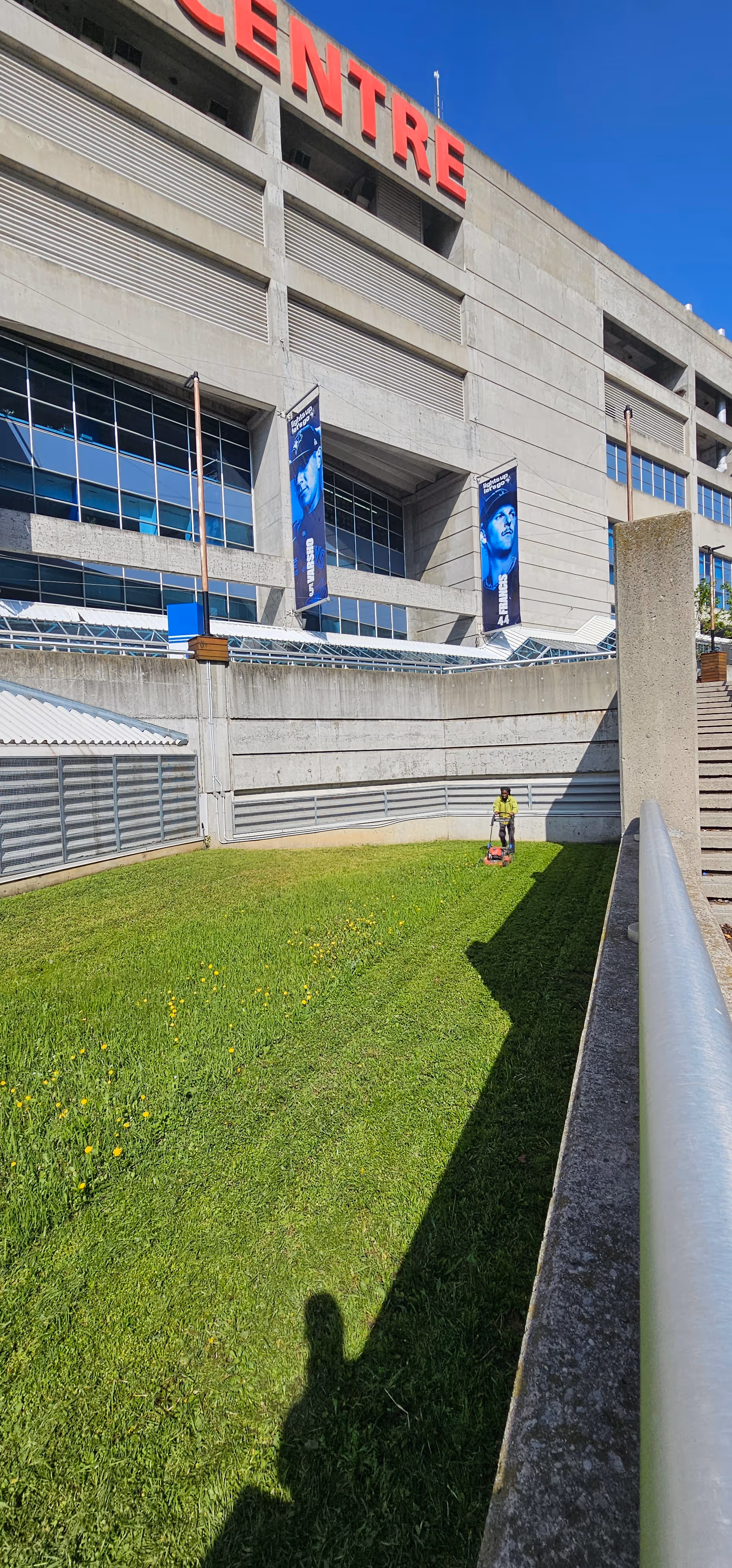Sustainable landscape maintenance with healthy planting