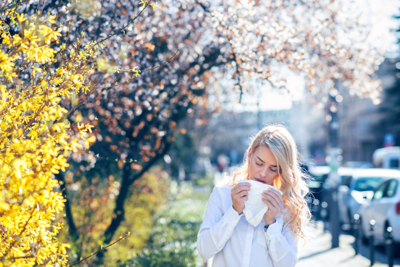 The Big Sneeze – Toronto’s Tree Pollen Problem