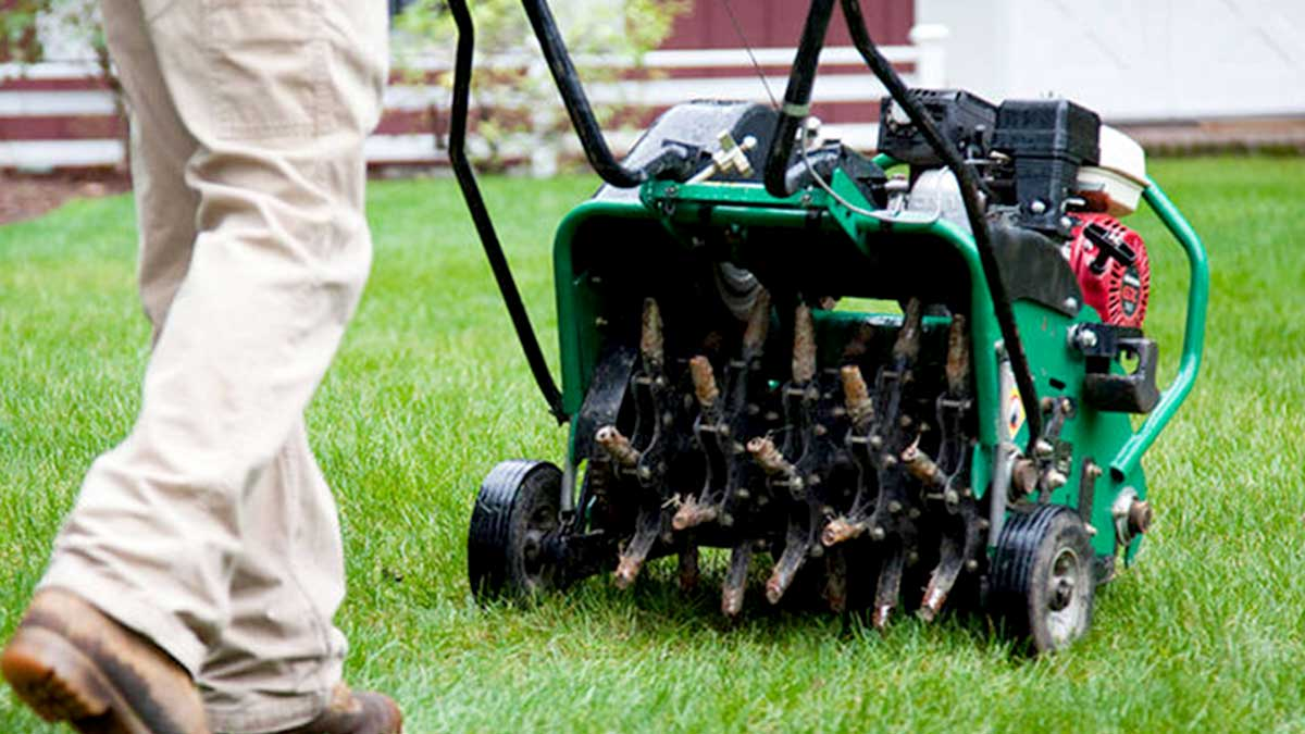 Spring lawn aeration equipment and lawn care