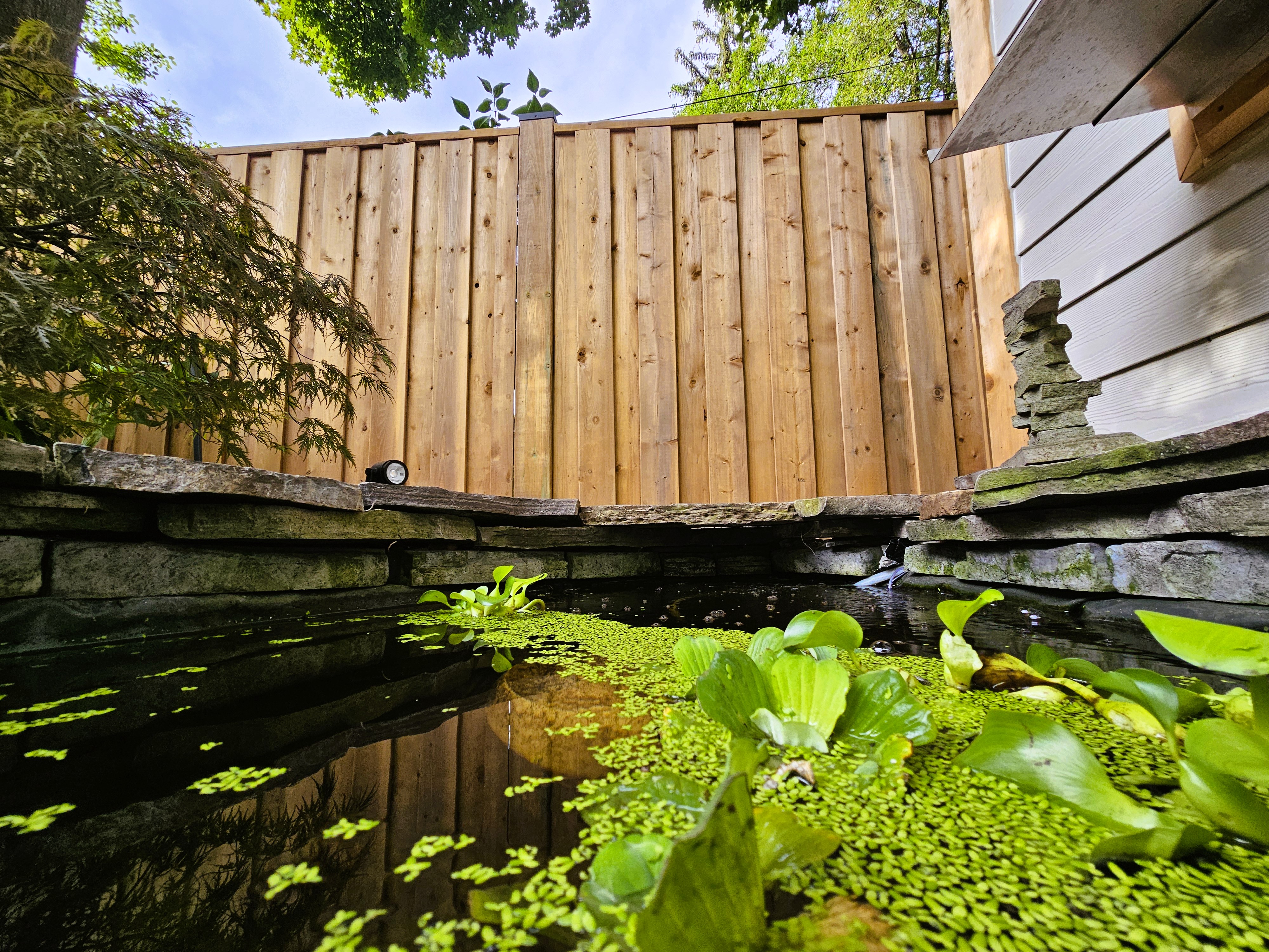 Water Features That Enhance Your Backyard Landscape