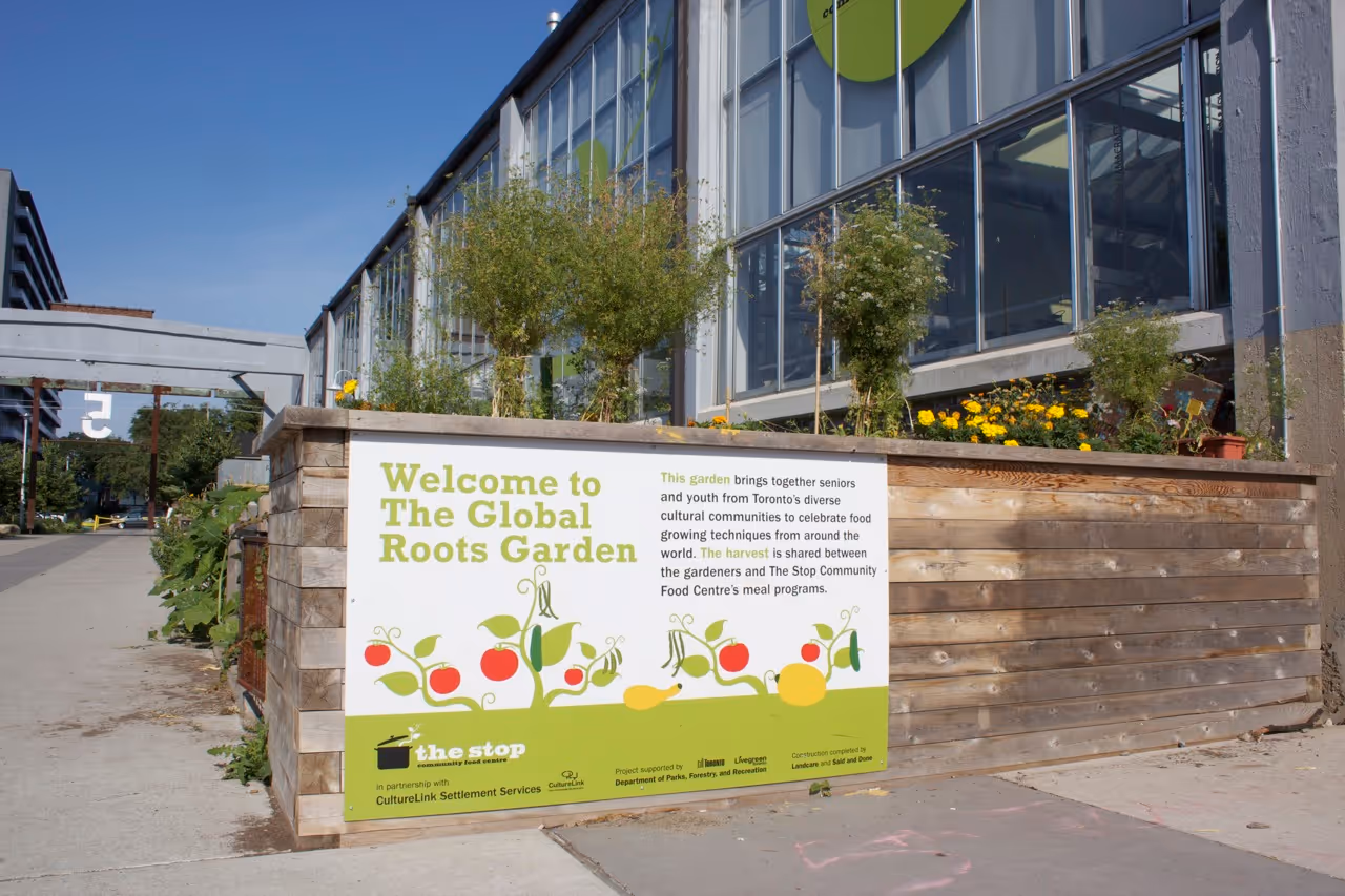 Global Roots Garden at The Stop Community Food Centre