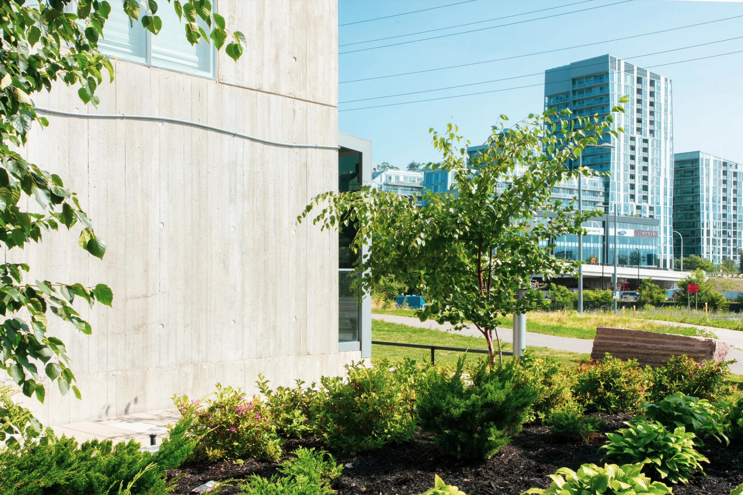 Trees, shrubs and perennials create a green outlook beside the building